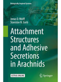Image of Attachment Structures and Adhesive Secretions in Arachnids