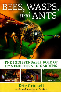 Image of Bees,Wasps,and Ants: The Indispensable Role of Hymenoptera In Gardens