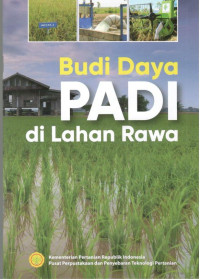 Image of Budi Daya Padi di Lahan Rawa