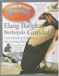 Elang Bangkai Berkepala Gundul : dan banyak pertanyaan lain tentang burung