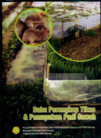 Image of Bubu perangkap tikus dan pemupukan padi sawah