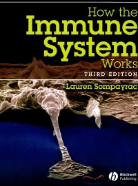 How the Immune System Work