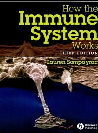 Image of How the Immune System Work