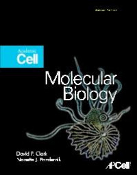 Image of Molecular Biology (Second Edition)