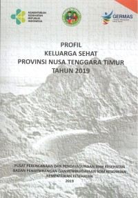 Image of Profil Keluarga Sehat Provinsi Nusa Tenggara Timur Tahun 2019