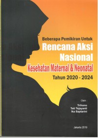 Beberapa Pemikiran Untuk Rencana Aksi Nasional Kesehatan Maternal dan Neonatal Tahun 2020-2024