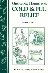 Growing herbs for cold & flu relief