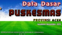 Data dasar Puskesmas provinsi Aceh: keadaan Desember 2013