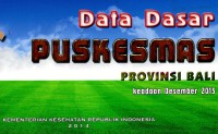 Data dasar Puskesmas provinsi Bali: keadaan Desember 2013