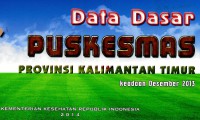 Data dasar Puskesmas provinsi Kalimantan Timur: keadaan Desember 2013