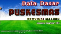 Data dasar Puskesmas provinsi Maluku, Maluku Utara: keadaan Desember 2013 ,