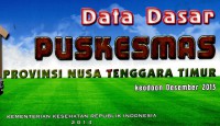 Data dasar Puskesmas provinsi Nusa Tenggara Timur: keadaan Desember 2013