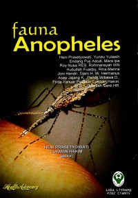 Image of Fauna Anopheles