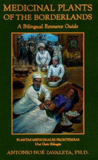 Image of Medicinal plants of the borderlands: a bilingual resource guide