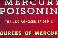 Image of Mercury Poisoning : The Undiagnosed Epidemic