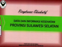 Data dan informasi kesehatan provinsi Sulawesi Selatan: ringkasan eksekutif